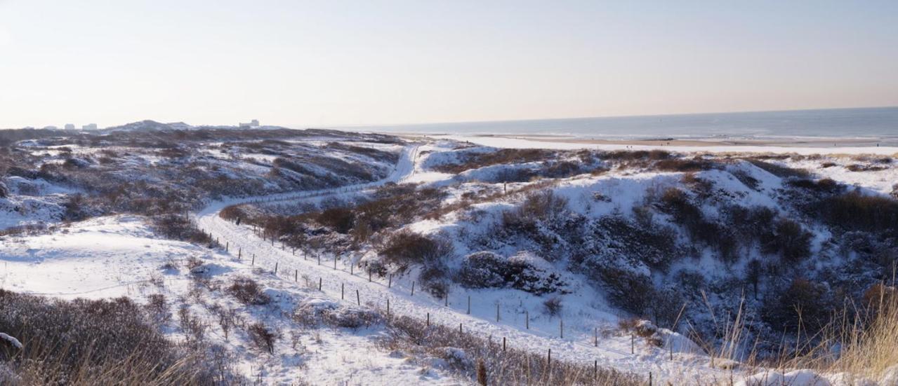 Dunes & Sea At Kijkduin Haag Exteriér fotografie